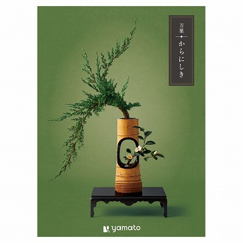 �J�^���O�M�t�g ���t ����ɂ���